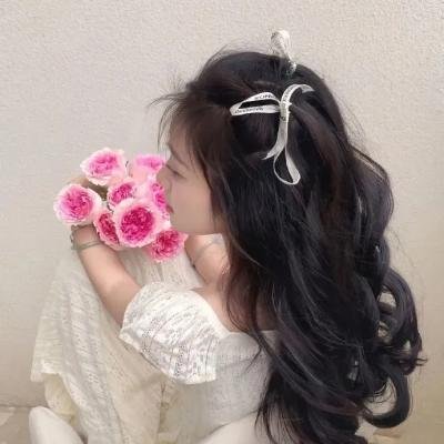 公主请回家