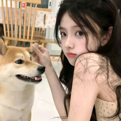 功夫兔与菜包狗第二季